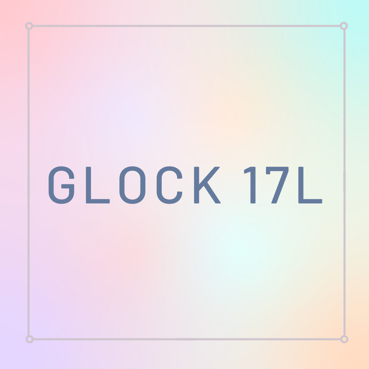 Glock 17L